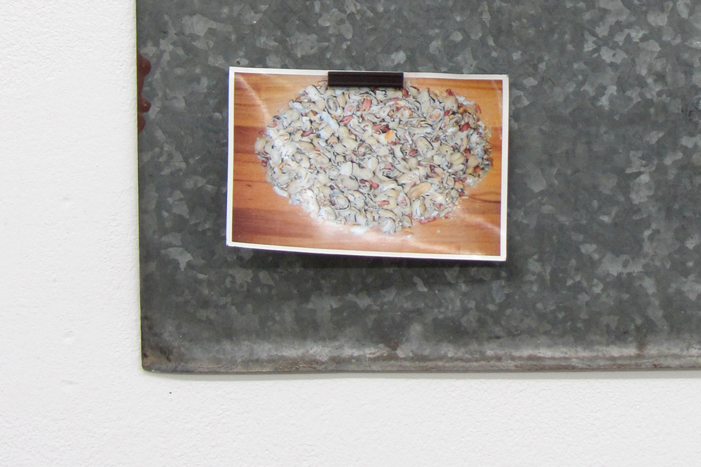 Snickers, 2013, Blech, Fotos, Magnete, 70cm x 50cm